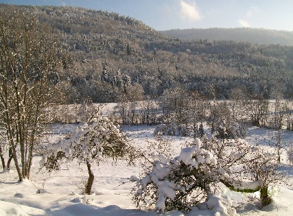 Surroundings of the studio