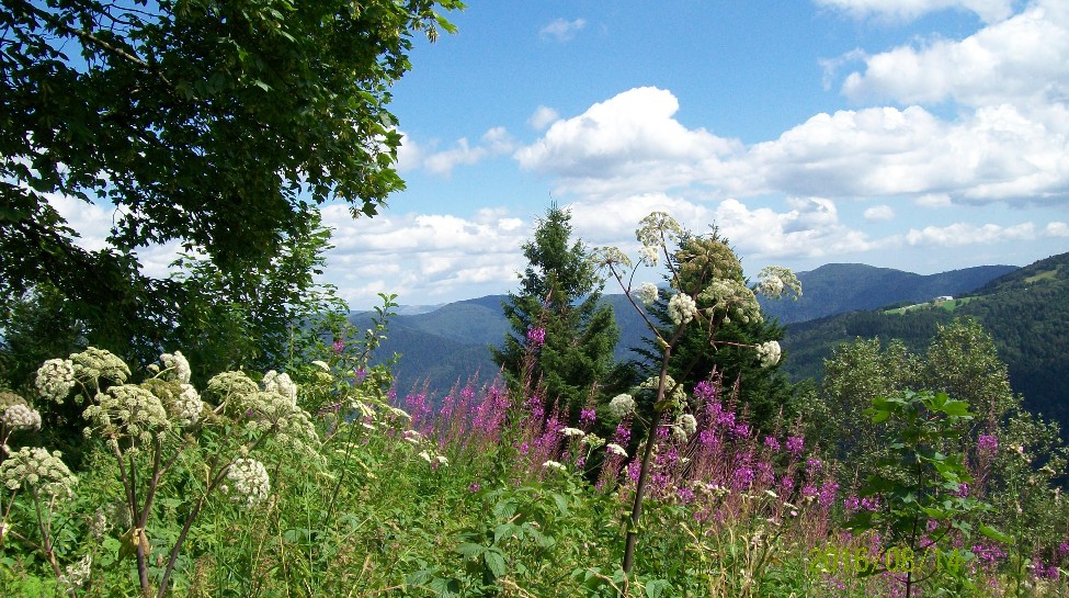 View over the Vosges