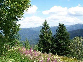 Surroundings