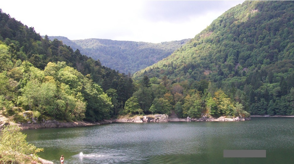 View over the Vosges